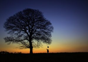 Ed Maguire_Dawn_YUVrQ2Jb