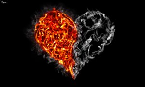 Raxon Rex_Where There's Smoke, There's Fire. They Are Soulmates_YkRjR2JY