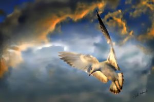 John T Howard_Surreal._ZE1lQ2A